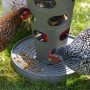 Beeztees Chicken Feeding Tower Gray 30x30x36 cm by Beeztees, Livestock feeders and waterers - Ref: Foro24-444518, Price: 33,2...