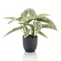 Artificial Emerald Calathea Dots in pot 38 cm by Emerald, artificial flora - Ref: Foro24-444639, Price: 39,63 €, Discount: %