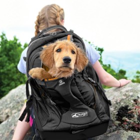 Kurgo G-Train K9 Dog Backpack Black by Kurgo, Pet carriers and boxes - Ref: Foro24-444445, Price: 174,59 €, Discount: %