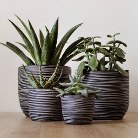 Capi Nature Rib Vase Set 4 Pieces Anthracite Gray by Capi, Pots and planters - Ref: Foro24-445508, Price: 45,40 €, Discount: %