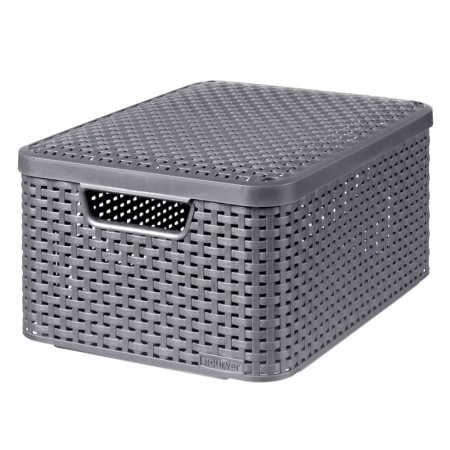 Curver Style M 18L Metallic Silver Storage Box with Lid by Curver, Storage baskets - Ref: Foro24-443866, Price: 36,59 €, Disc...