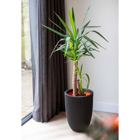 Capi Elegant Groove vase black 46x58 cm by Capi, Pots and planters - Ref: Foro24-445497, Price: 163,99 €, Discount: %