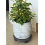 Nature Round gray wood plant stand with wheels Ø30 cm by Nature, Pot stands - Ref: Foro24-446401, Price: 27,99 €, Discount: %