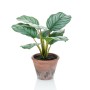 Emerald Calathea Orbifolia artificial Terra en maceta 32 cm de Emerald, Flora artificial - Ref: Foro24-444641, Precio: 21,97 ...