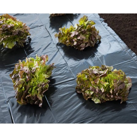 Nature Black ground cover 3x4 m 100µ by Nature, Gardening accessories - Ref: Foro24-446374, Price: 22,61 €, Discount: %