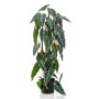 Emerald Alocasia artificial en maceta 75 cm de Emerald, Flora artificial - Ref: Foro24-444648, Precio: 46,03 €, Descuento: %