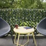 Nature Garden trellis privet green and yellow leaves 90x180 cm by Nature, Pergolas, arches and garden trellises - Ref: Foro24...