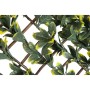 Nature Garden trellis privet green and yellow leaves 90x180 cm by Nature, Pergolas, arches and garden trellises - Ref: Foro24...