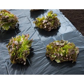 Nature Black ground cover 4x6 m 50µ by Nature, Gardening accessories - Ref: Foro24-446373, Price: 23,01 €, Discount: %