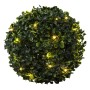 HI Bola de boj con LED diámetro 25 cm de HI, Flora artificial - Ref: Foro24-446180, Precio: 30,90 €, Descuento: %