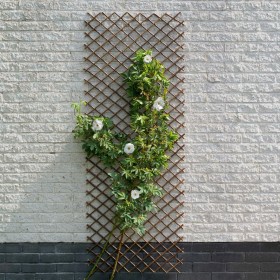 Nature Garden trellis natural willow brown 60x180 cm by Nature, Pergolas, arches and garden trellises - Ref: Foro24-446398, P...