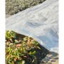 Nature Transparent Plant Cover 3x4 m 200µ by Nature, Gardening accessories - Ref: Foro24-446380, Price: 35,21 €, Discount: %