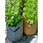 Nature Bolsa para cultivar patatas gris antracita 37 L de Nature, Jardinería - Ref: Foro24-446409, Precio: 22,57 €, Descuento: %