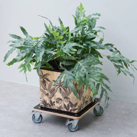 Nature Soporte con ruedas para plantas cuadrado madera negro 38x38 cm de Nature, Soportes para macetas - Ref: Foro24-446407, ...