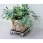 Nature Soporte con ruedas para plantas cuadrado madera negro 38x38 cm de Nature, Soportes para macetas - Ref: Foro24-446407, ...