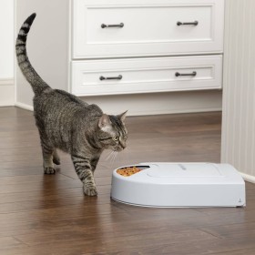 PetSafe Pet Feeder 5 Eatwell Mahlzeiten mit Timer Grau von PetSafe, Futternäpfe, Futtertröge und Tränken für Haustiere - Ref:...