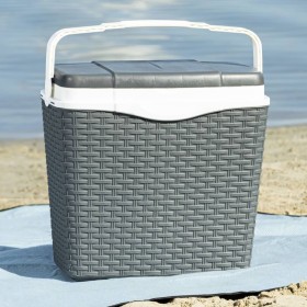 HI Nevera con asa plástico gris antracita 24 L de HI, Neveras - Ref: Foro24-446209, Precio: 42,99 €, Descuento: %