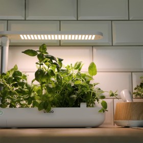 Livoo Indoor garden white 1.2 L 21 W by Livoo, Lighting therapy lamps - Ref: Foro24-443538, Price: 98,99 €, Discount: %