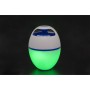 Bestway Floating-Lautsprecher mit LED und Bluetooth von Bestway, Lautsprecher - Ref: Foro24-93800, Preis: 67,45 €, Rabatt: %