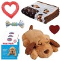 Snuggle Puppy Kit de iniciación para cachorros mascotas de Snuggle Puppy, Juguetes para perros - Ref: Foro24-442453, Precio: ...