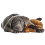 Snuggle Puppy Pet Puppy Starter Kit by Snuggle Puppy, Dog's Toys - Ref: Foro24-442453, Price: 83,43 €, Discount: %