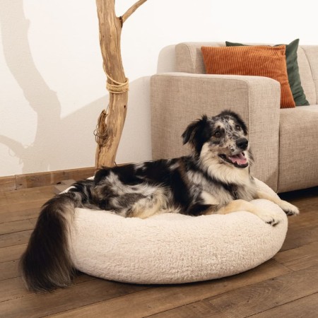 Beeztees Jaxx beige memory foam dog bed 50x20 cm by Beeztees, Beds for dogs - Ref: Foro24-444512, Price: 68,45 €, Discount: %