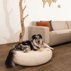 Beeztees Jaxx Memory Foam Dog Bed Beige 60x25 cm by Beeztees, Beds for dogs - Ref: Foro24-444513, Price: 113,99 €, Discount: %