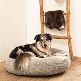 Beeztees Jaxx Memory Foam Dog Bed Gray 50x20 cm by Beeztees, Beds for dogs - Ref: Foro24-444514, Price: 70,99 €, Discount: %