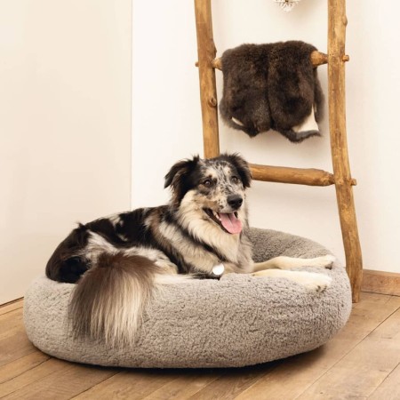 Beeztees Cama para perros de espuma viscoelástica Jaxx gris 60x25 cm de Beeztees, Camas para perros - Ref: Foro24-444515, Pre...