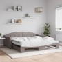 Sofá cama nido con colchón tela gris taupe 100x200 cm de vidaXL, Camas y somieres - Ref: Foro24-3197556, Precio: 449,60 €, De...