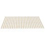 Slatted bases with 48 slats 2 units 100x200 cm by vidaXL, Beds and slatted bases - Ref: Foro24-3203726, Price: 89,43 €, Disco...