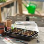 Nature Propagator with heating element 38x24x19 cm by Nature, Kits for planting flowers and plants - Ref: Foro24-403668, Pric...