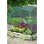 Pop-up greenhouse, 100 x 100 x 100 cm, Nature 6020409 by Nature, Greenhouses - Ref: Foro24-403674, Price: 34,35 €, Discount: %