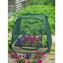 Pop-up greenhouse, 100 x 100 x 100 cm, Nature 6020409 by Nature, Greenhouses - Ref: Foro24-403674, Price: 34,35 €, Discount: %