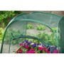 Pop-up greenhouse, 100 x 100 x 100 cm, Nature 6020409 by Nature, Greenhouses - Ref: Foro24-403674, Price: 34,35 €, Discount: %