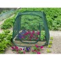 Pop-up greenhouse, 100 x 100 x 100 cm, Nature 6020409 by Nature, Greenhouses - Ref: Foro24-403674, Price: 34,35 €, Discount: %