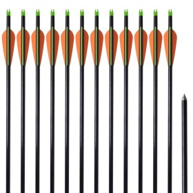 Bogenpfeile 12 Stück Composite Standard Fiberglas von vidaXL, Pfeile und Darts - Ref: Foro24-90855, Preis: 40,99 €, Rabatt: %