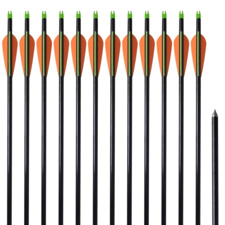 Bogenpfeile 12 Stück Composite Standard Fiberglas von vidaXL, Pfeile und Darts - Ref: Foro24-90855, Preis: 44,84 €, Rabatt: %