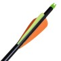 Bogenpfeile 12 Stück Composite Standard Fiberglas von vidaXL, Pfeile und Darts - Ref: Foro24-90855, Preis: 44,84 €, Rabatt: %