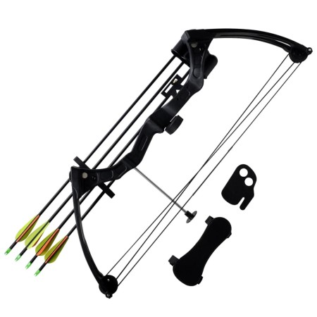 Compound bow for youth with accessories and aluminum arrows by vidaXL, compound bows - Ref: Foro24-90853, Price: 93,75 €, Dis...