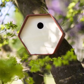 Capi Hive 1 birdhouse brown 19x23x20 cm by , Birdhouses - Ref: Foro24-445515, Price: 29,99 €, Discount: %