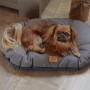 Ferplast Cushion for dogs and cats Stuart 65/6 blue by , Beds for dogs - Ref: Foro24-436620, Price: 43,62 €, Discount: %