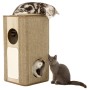 Jack and Vanilla Brown Molly Tower Cat Scratching Post 38x38x73 cm by , Cat furniture - Ref: Foro24-444202, Price: 123,20 €, ...