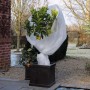 Nature Funda cubre plantas polar anti-heladas blanco 30 g/m² 4x6 m de Nature, Accesorios de jardinería - Ref: Foro24-407091, ...