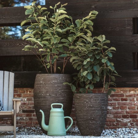 Capi Nature Row Planter Olive Green 43x41 cm by , Pots and planters - Ref: Foro24-434867, Price: 86,99 €, Discount: %