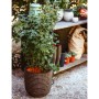 Capi Nature Row Planter Olive Green 43x41 cm by , Pots and planters - Ref: Foro24-434867, Price: 86,99 €, Discount: %