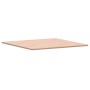 Tablero de mesa cuadrado de madera maciza de haya 80x80x1,5 cm de , Tableros para mesas - Ref: Foro24-355952, Precio: 66,71 €...