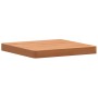 Tablero de mesa cuadrado de madera maciza de haya 40x40x4 cm de , Tableros para mesas - Ref: Foro24-355978, Precio: 42,89 €, ...