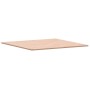 Tablero de mesa cuadrado de madera maciza de haya 90x90x1,5 cm de , Tableros para mesas - Ref: Foro24-355953, Precio: 89,93 €...