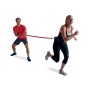 Pure2Improve Cuerda entrenamiento resistencia velocidad 2,4m P2I200490 de Pure2Improve, Paracaídas para velocidad y resistenc...